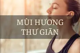 MÙI HƯƠNG GIÚP THƯ GIÃN TINH THẦN CÓ THỂ BẠN CHƯA BIẾT