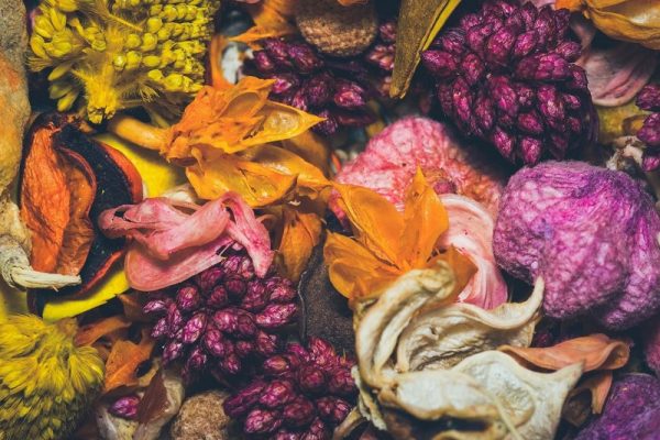 Giải pháp thơm phòng tự nhiên giúp phòng luôn thơm mát lâu dài