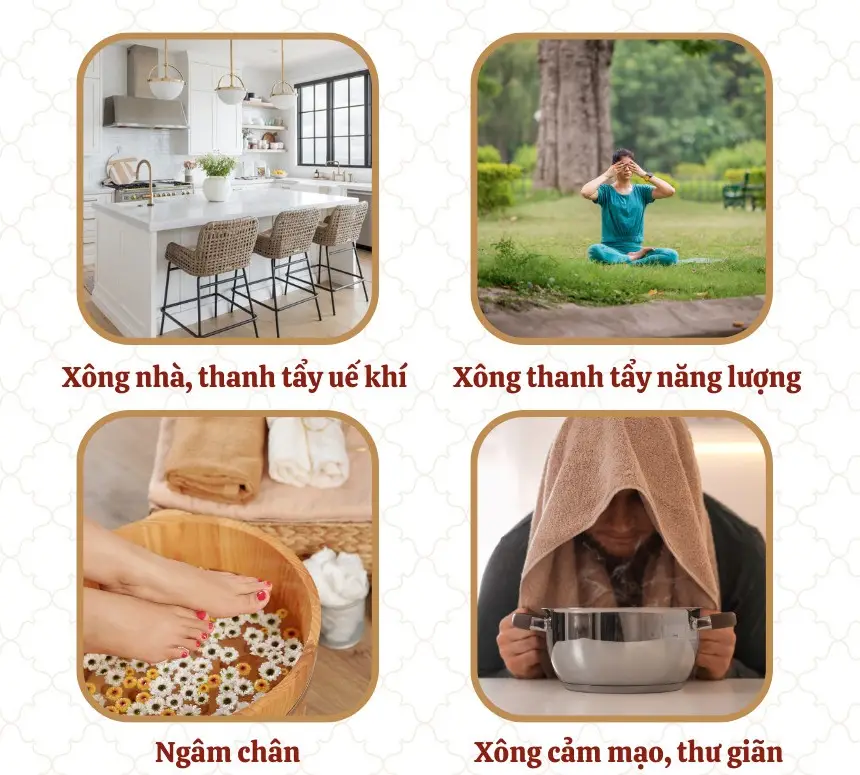 Thảo mộc thanh tẩy Zenme: Thanh lọc năng lượng, thư giản và kháng khuẩn