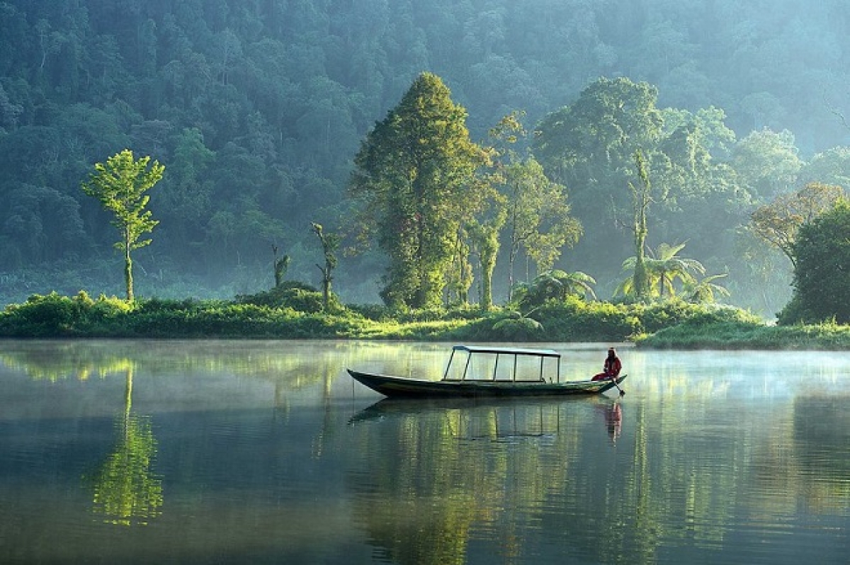 Mùi hương cho không gian thiền: Tạo cảm giác thư giãn và thanh tịnh