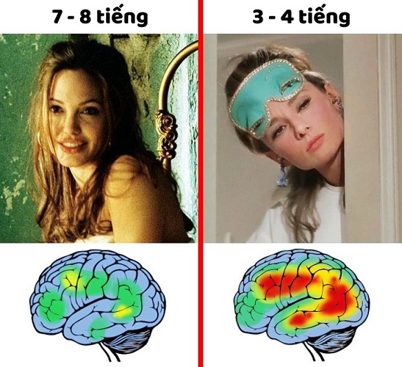 Những Loại Mùi Hương Thư Giãn Được Ưa Chuộng Nhất Hiện Nay