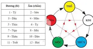 Làm thế nào để chọn Sim Phong Thủy Theo Tuổi ưng ý nhất?