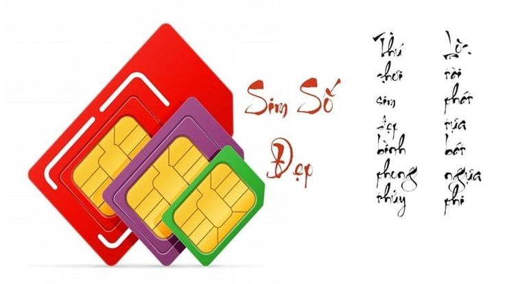 Số Đẹp Thu Hút Tiền Tài: Bí Quyết Chọn Số Phong Thủy Mang Lại May Mắn