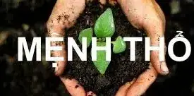 Khám phá 15+ vật phẩm may mắn dành cho người mệnh Thổ để thu hút tài lộc