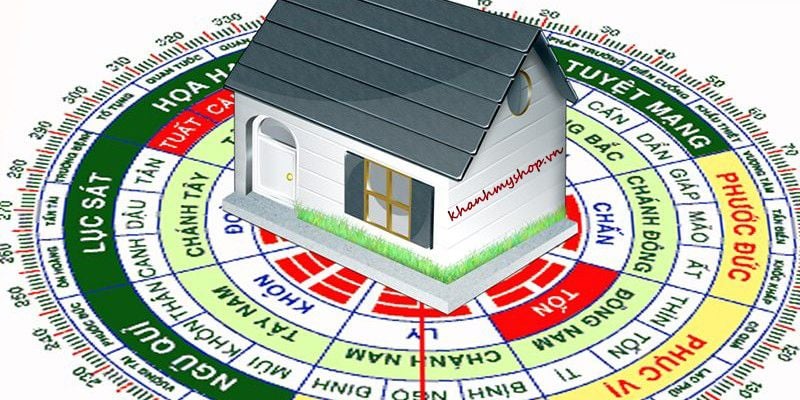 Ý Nghĩa Của Phong Thủy: Gốc Rễ Cân Bằng Năng Lượng, Hút Tài Lộc và Gìn Giữ Hạnh Phúc
