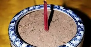 Cách Tỉa Chân Nhang Đúng Cách Không Sợ Phạm Phong Thuỷ, Thu Hút Tài Lộc