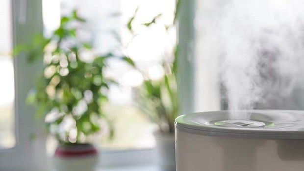 Mùi thơm nhân tạo ảnh hưởng đến chất lượng không khí trong nhà -  ThienNhien.Net | Con người và Thiên nhiên