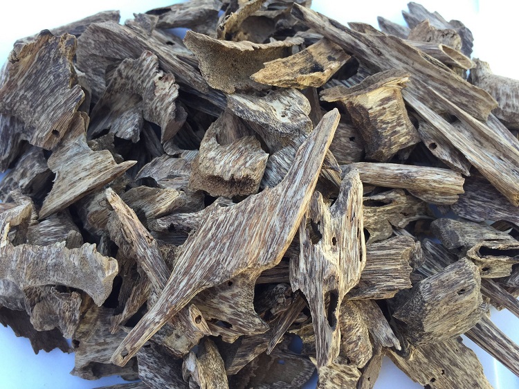 Trầm hương Indo là gì và tại sao lại được nhiều người ưa chuộng?