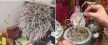 Nên Rút Chân Nhang Thần Tài Vào Ngày Nào Chuẩn Nhất?