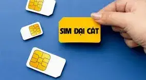 Cách tính SIM đại cát chính xác và hiệu quả nhất - VNPT