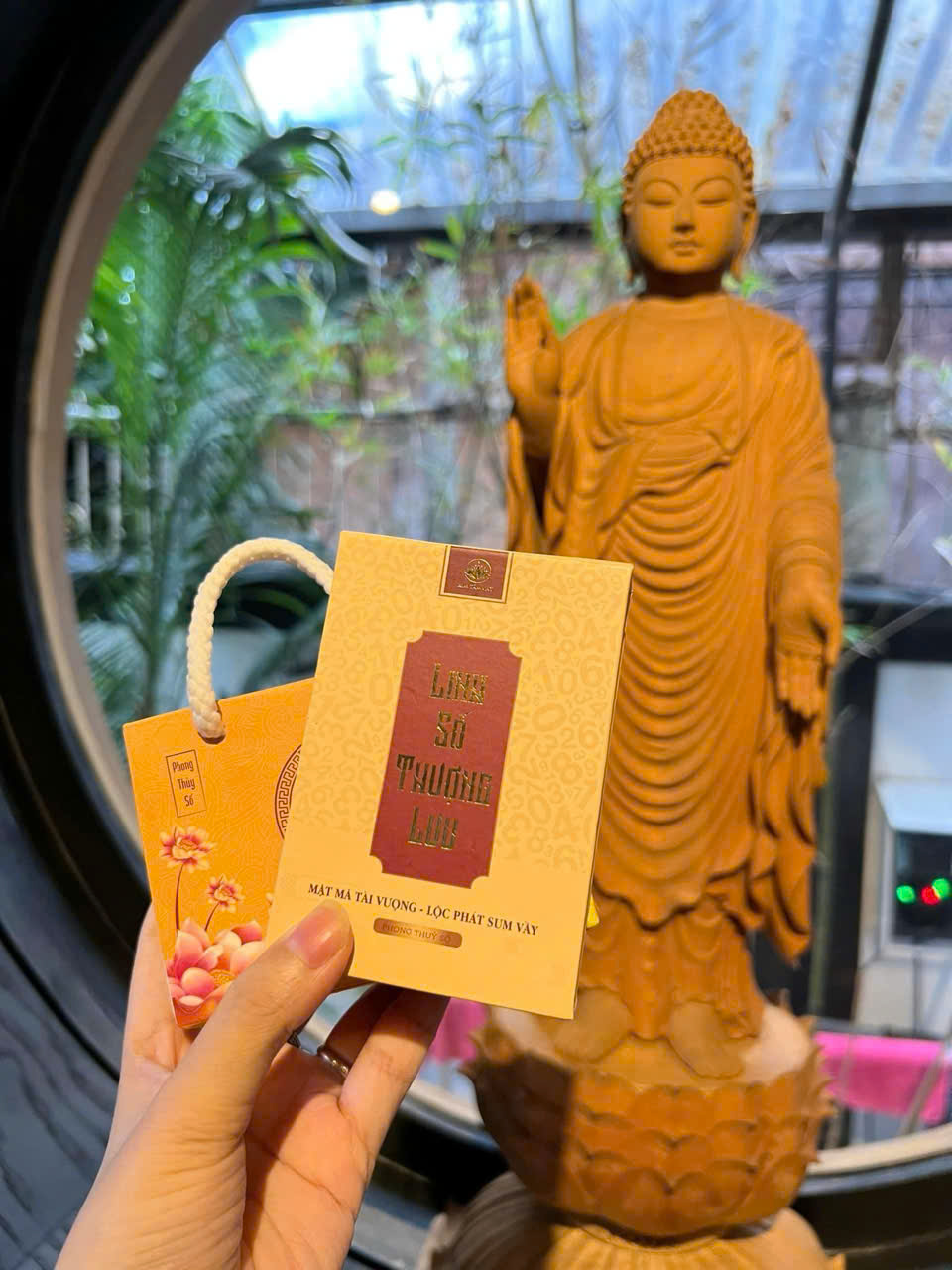 Sim Linh số Thượng Lưu Kim Tâm Cát - Phong Thủy Kim Tâm Cát Cô Diên
