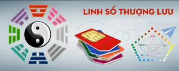 BÁT CỰC LINH SỐ - LINH SỐ THƯỢNG LƯU - KIM TÂM CÁT - Phụng Sự Tâm Linh Việt