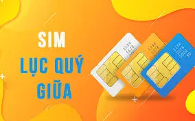 Giải Mã Ý Nghĩa Sim Lục Quý 666666 Trong Phong Thủy