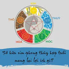 Sở hữu sim phong thủy hợp tuổi mang lại lợi ích gì?