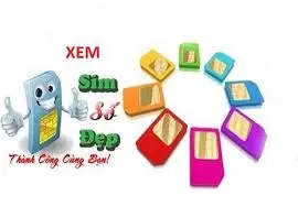 10+ Lợi ích khi sở hữu SIM số đẹp trong làm kinh doanh nhiều tài lộc, may  mắn | ATP Software