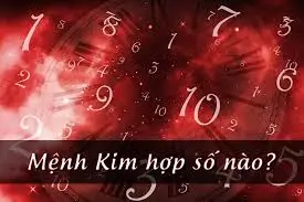 Mệnh kim hợp số nào? Ý nghĩa con số may mắn cho người mệnh Kim