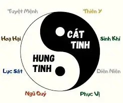 Hung Tinh - Cát Tinh: Giải Mã Khoa Học Từ Năng Lượng Số Trong hệ thống Năng  Lượng Số, có 8 từ trường chính: 4 từ trường Hung Tinh (tức là các