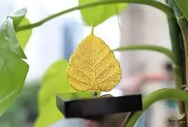 Lá bồ đề có ý nghĩa gì trong phong thuỷ và Phật giáo? – Golden Gift Việt Nam