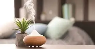 Tinh Dầu Xông Phòng: Điểm Danh 10 Mùi Ấn Tượng Nhất Năm | Tinh dầu
